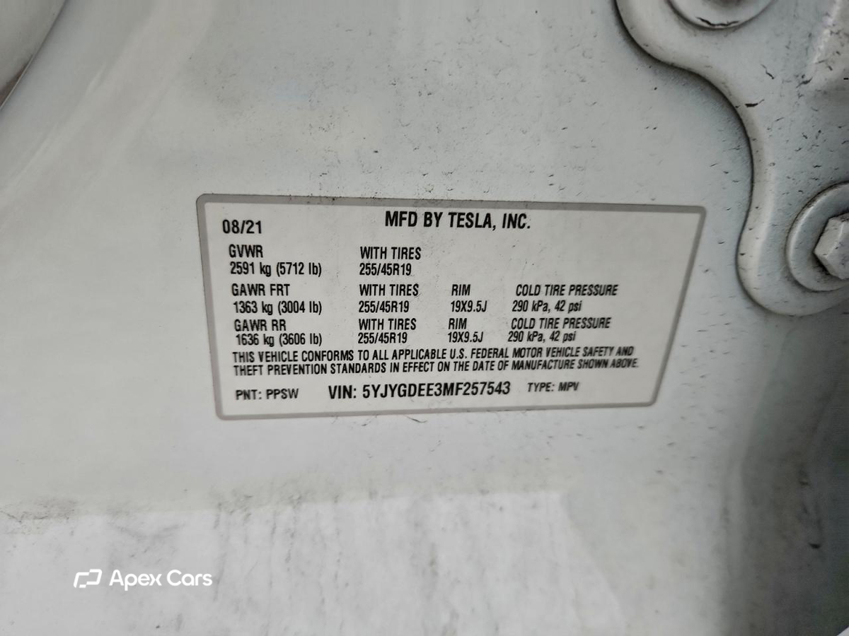 Tesla Model Y 2021