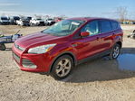 Ford Escape 2014