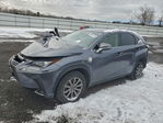 Lexus NX 2020