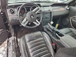 Ford Mustang 2007