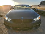 BMW Series 4 2016