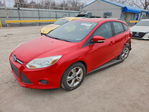 Ford Focus 2013