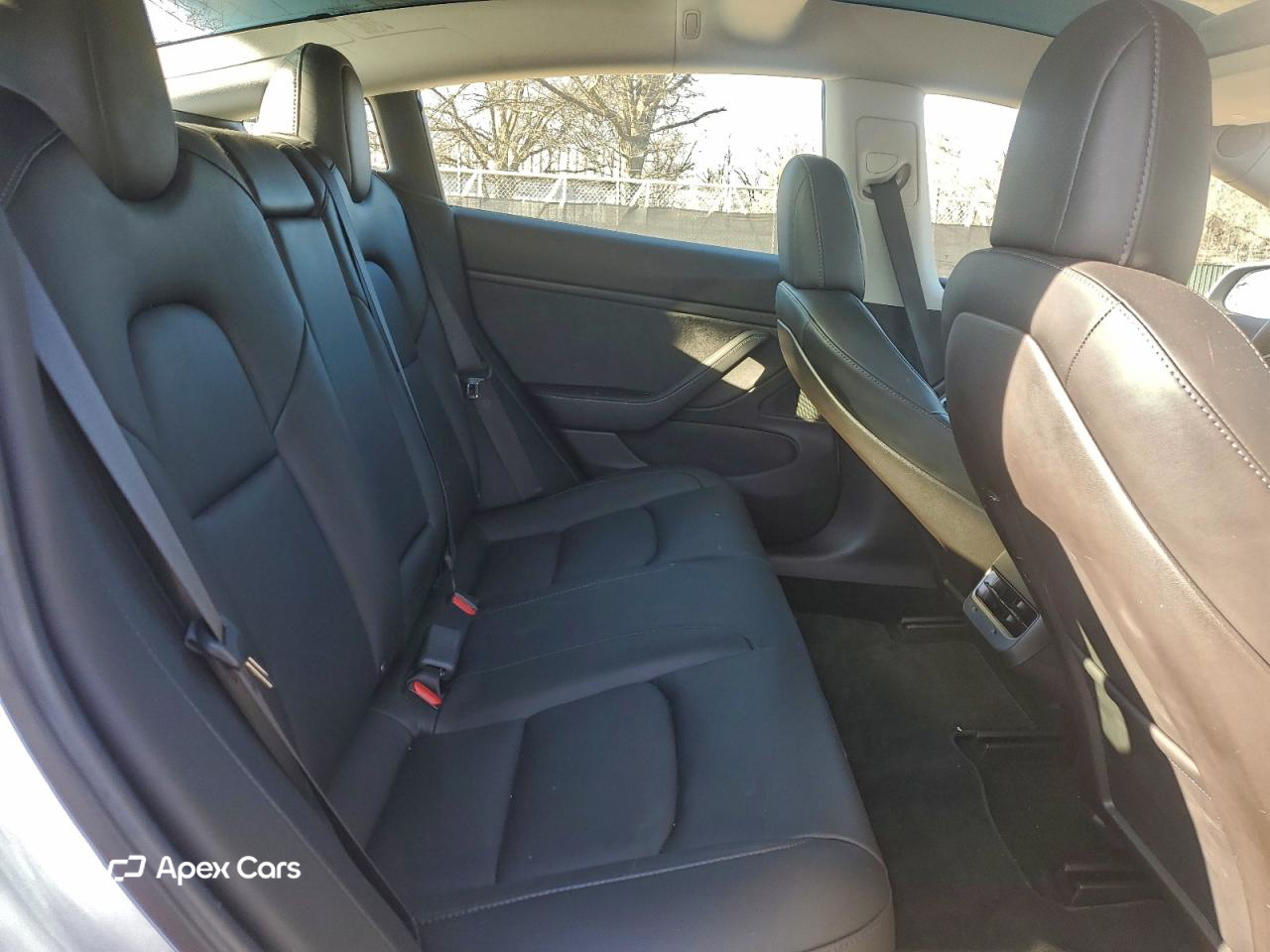 Tesla Model 3 2019