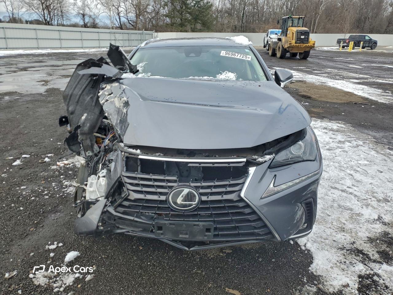 Lexus NX 2020