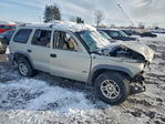 Dodge Durango 2002