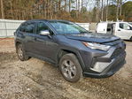 Toyota RAV 4 2025