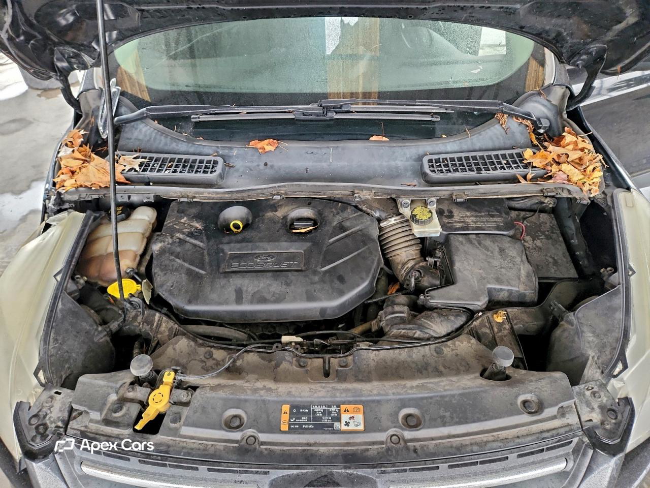 Ford Escape 2015