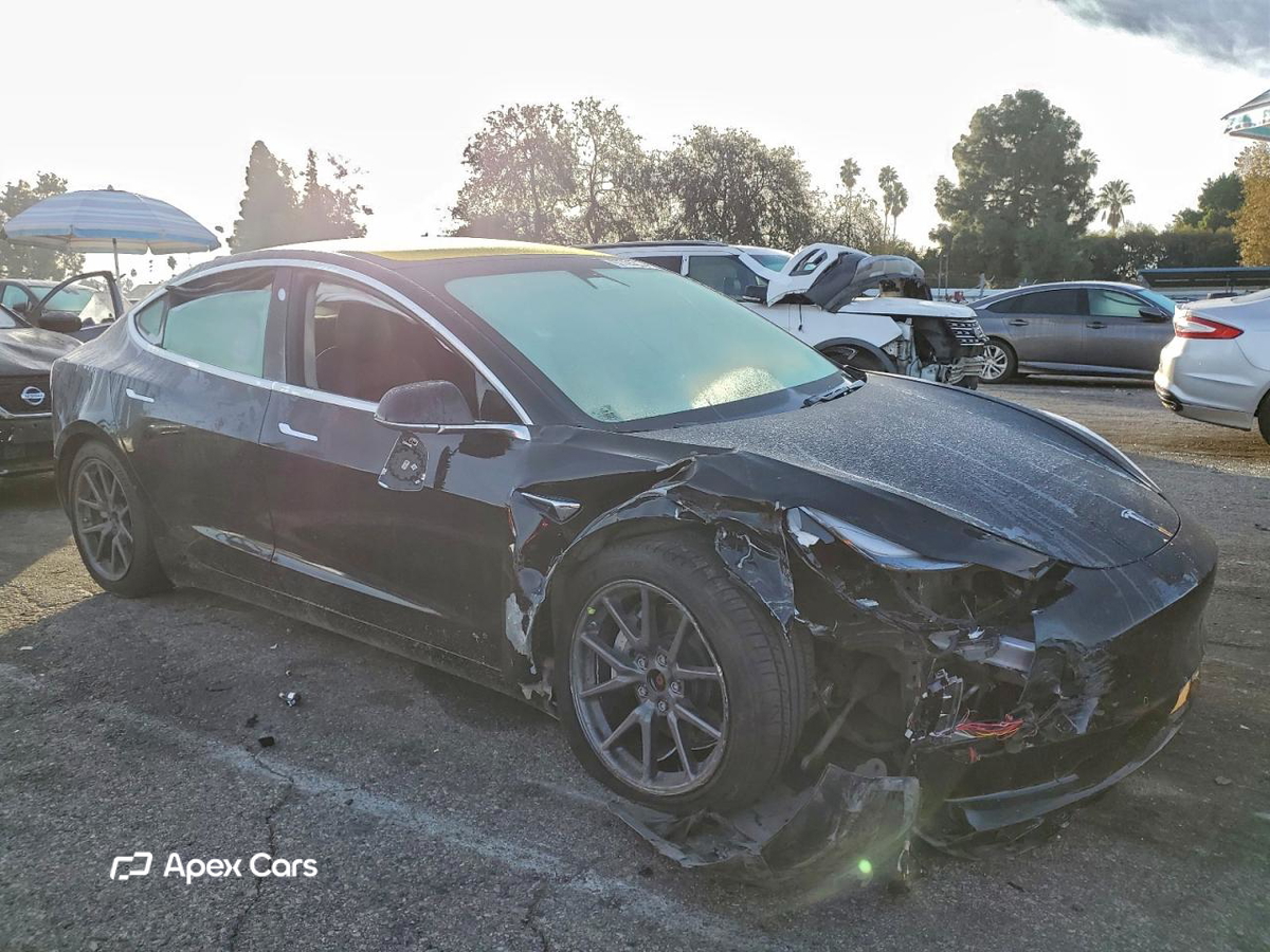 Tesla Model 3 2019