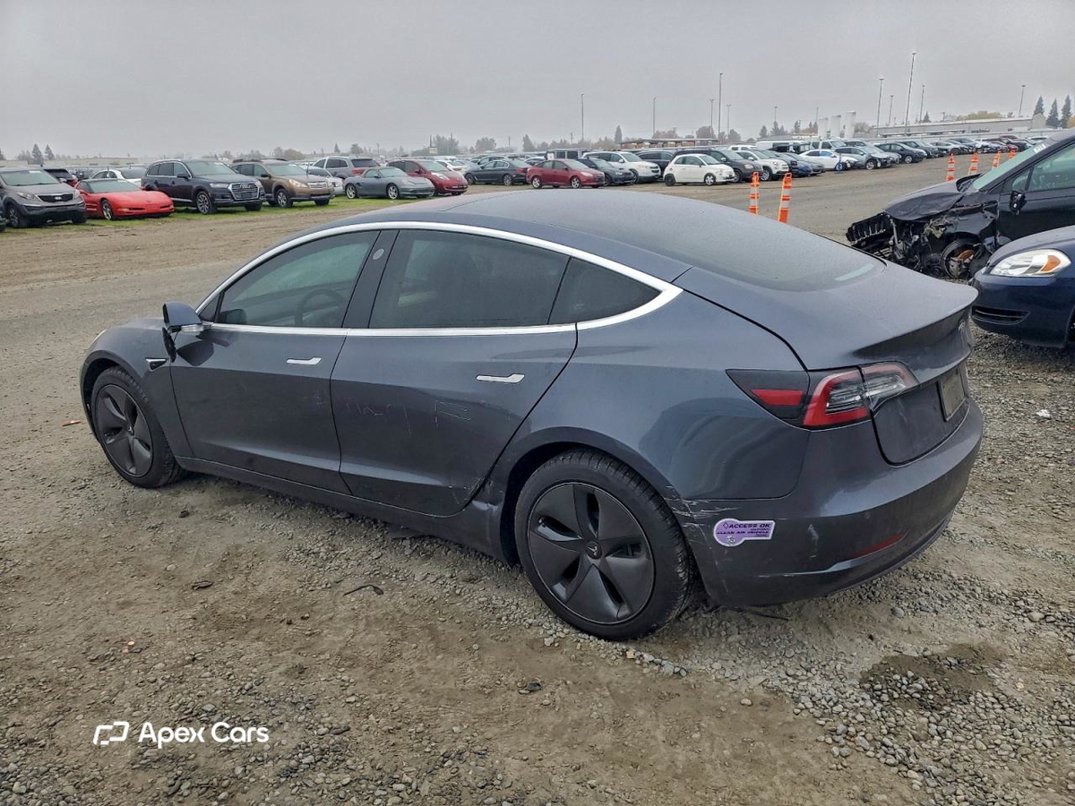 Tesla Model 3 2019