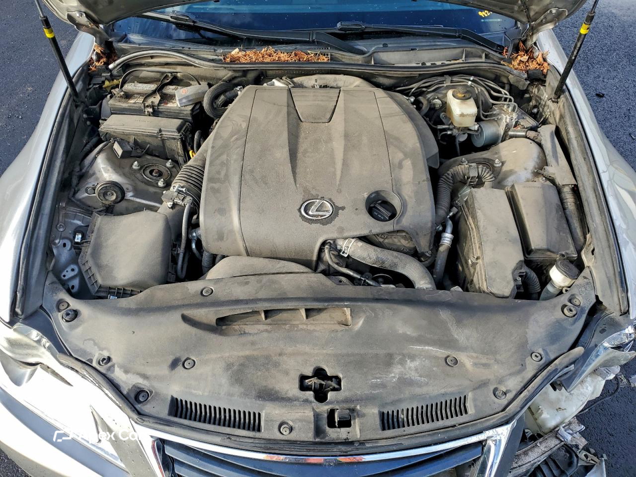 Lexus IS 2015