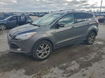 Ford Escape 2014