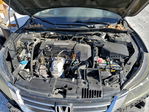 Honda Accord 2013