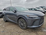 Lexus RX 2024