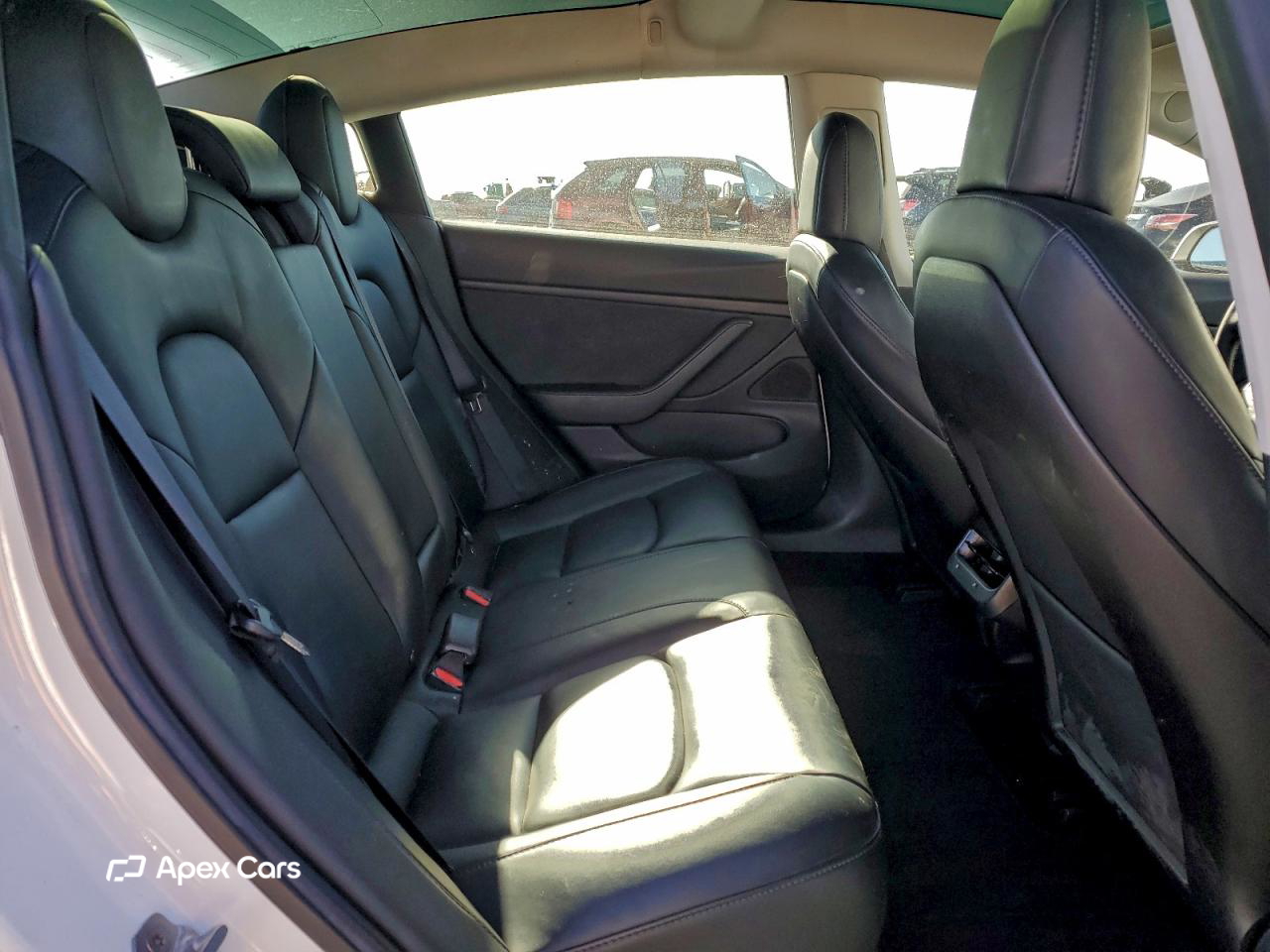 Tesla Model 3 2019