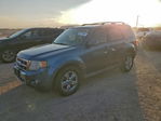 Ford Escape 2011
