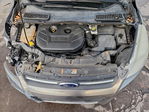 Ford Escape 2013