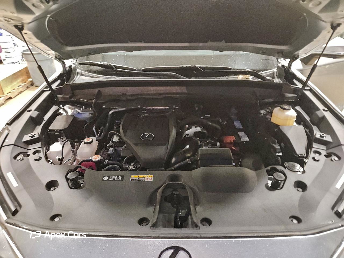 Lexus TX 2025