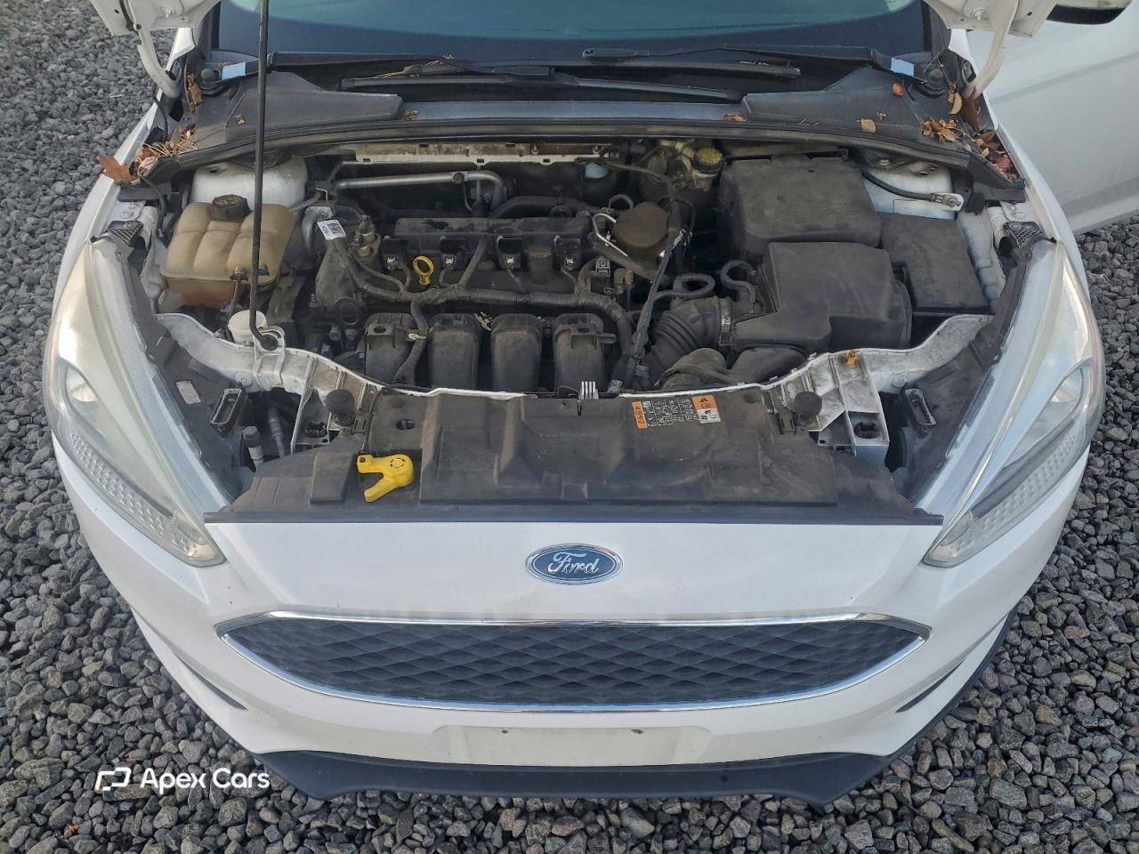 Ford Focus 2016