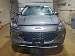 Ford Escape 2021
