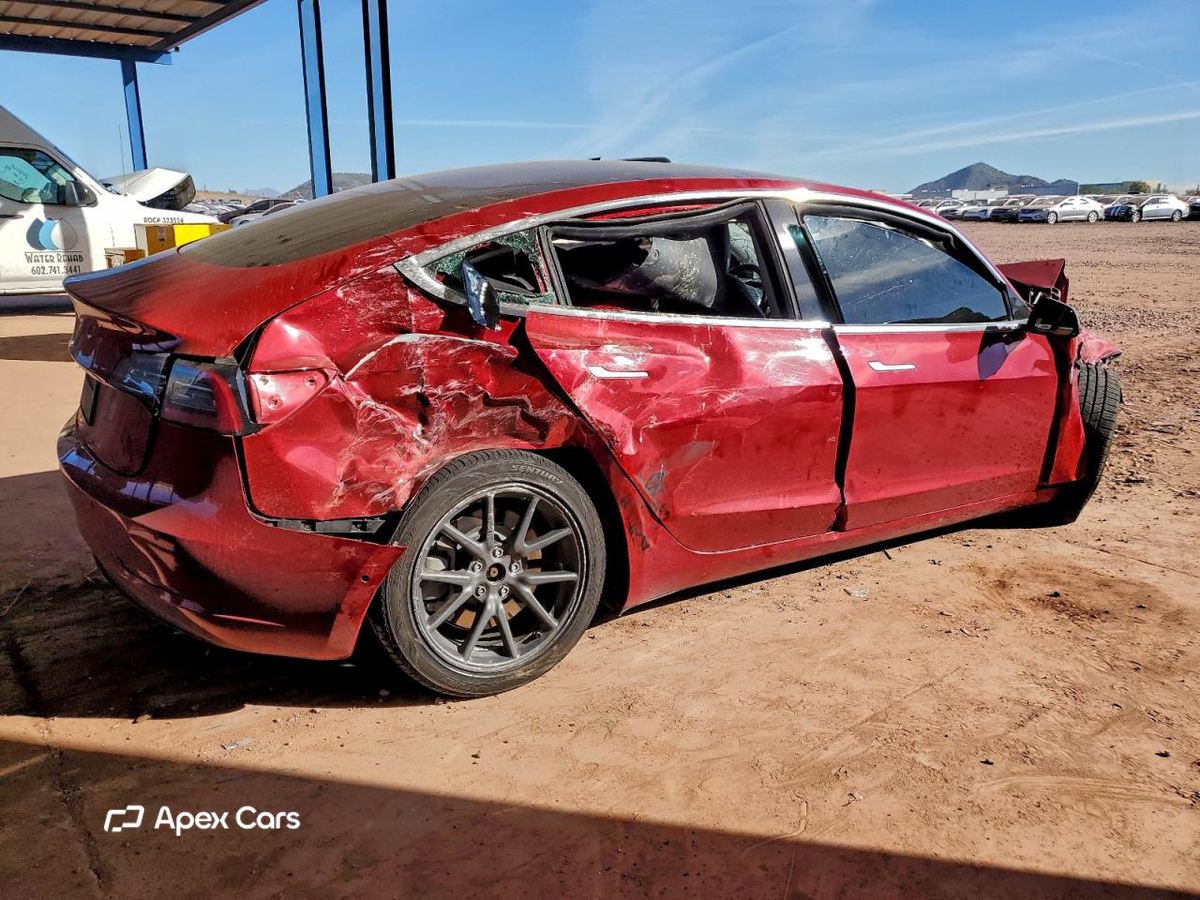 Tesla Model 3 2019