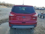 Ford Escape 2014