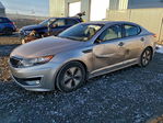 Kia Optima 2013