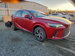 Lexus RX 2025