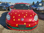 Volkswagen Beetle 2013