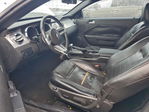 Ford Mustang 2005
