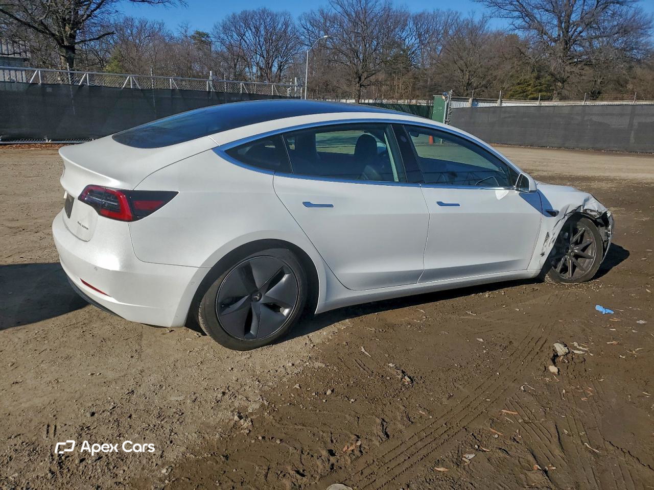 Tesla Model 3 2019