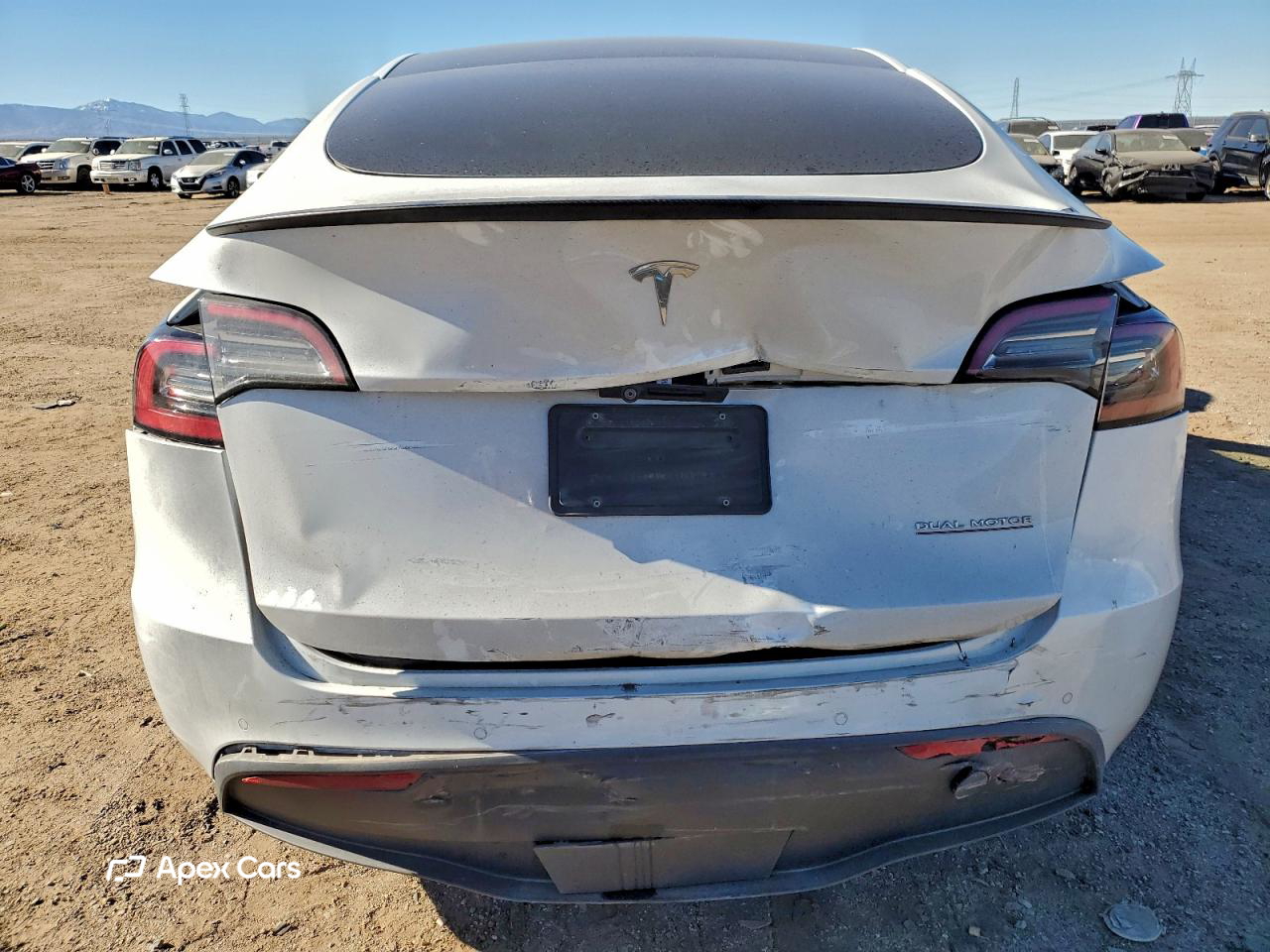 Tesla Model Y 2021