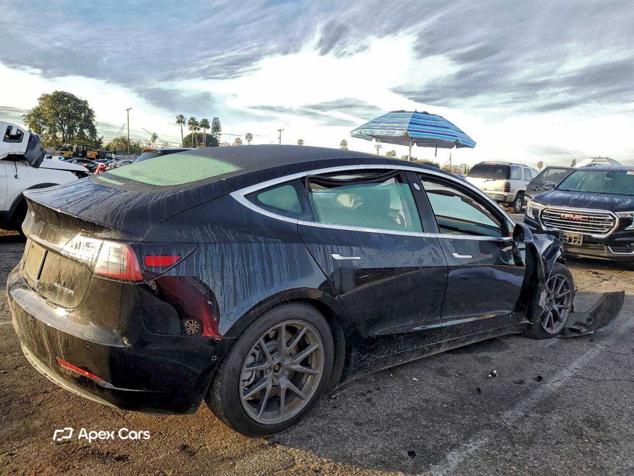 Tesla Model 3 2019