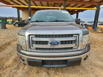 Ford F-150 2013