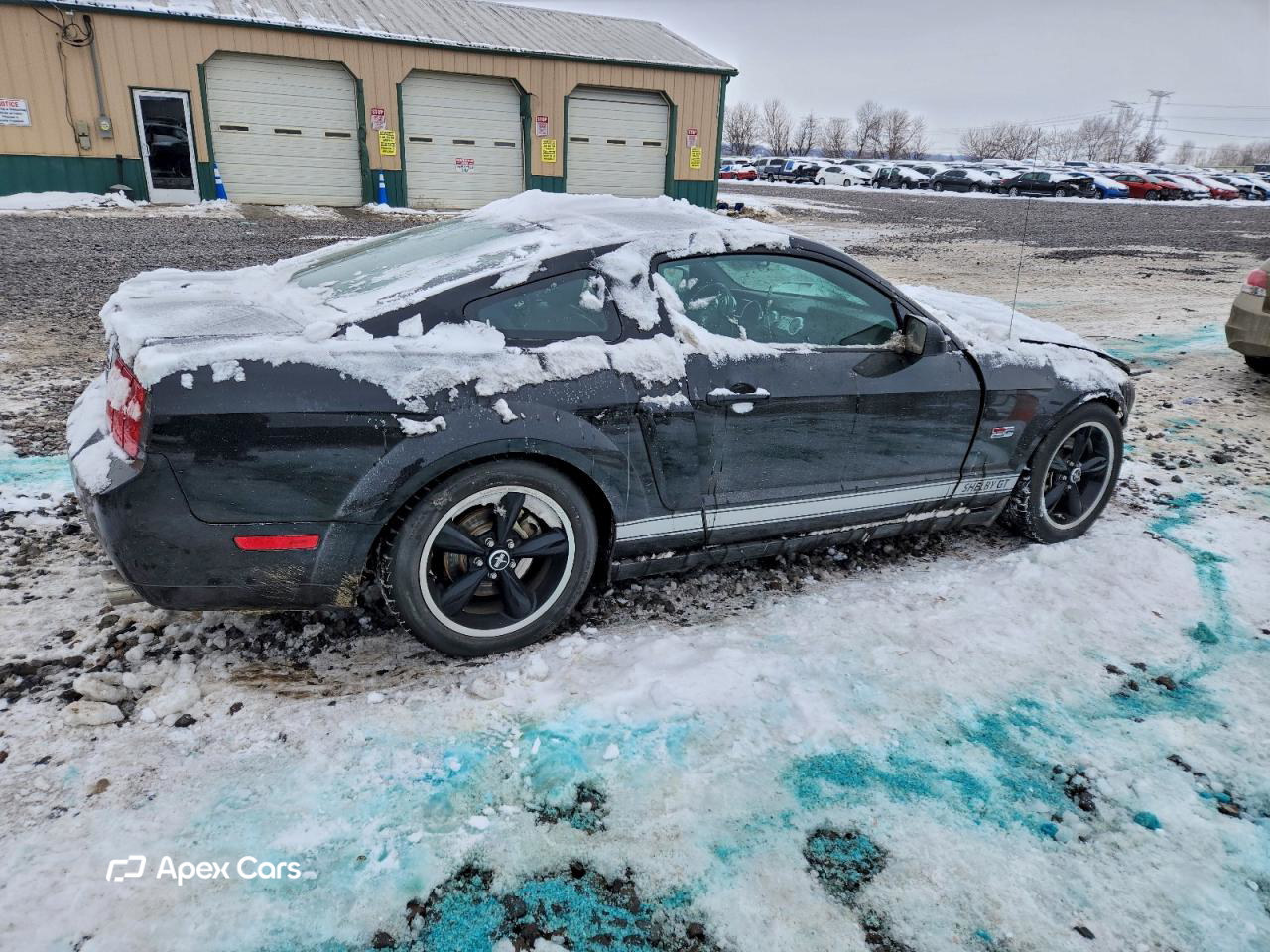 Ford Mustang 2007