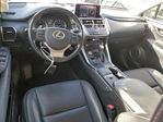 Lexus NX 2020