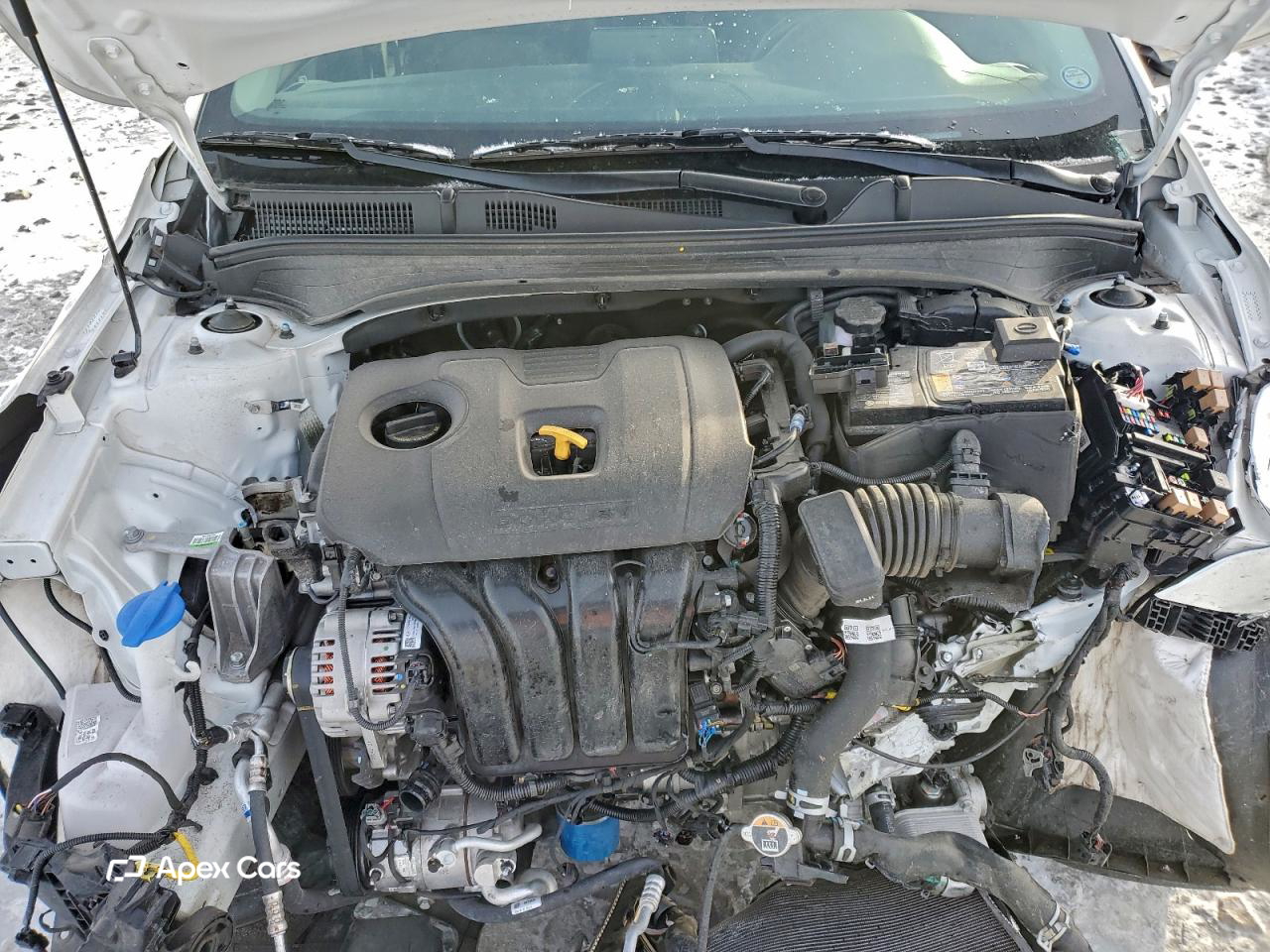 Kia Forte 2024