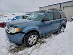 Ford Escape 2012