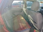Ford Escape 2011