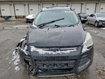 Ford Escape 2013