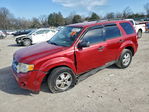 Ford Escape 2011