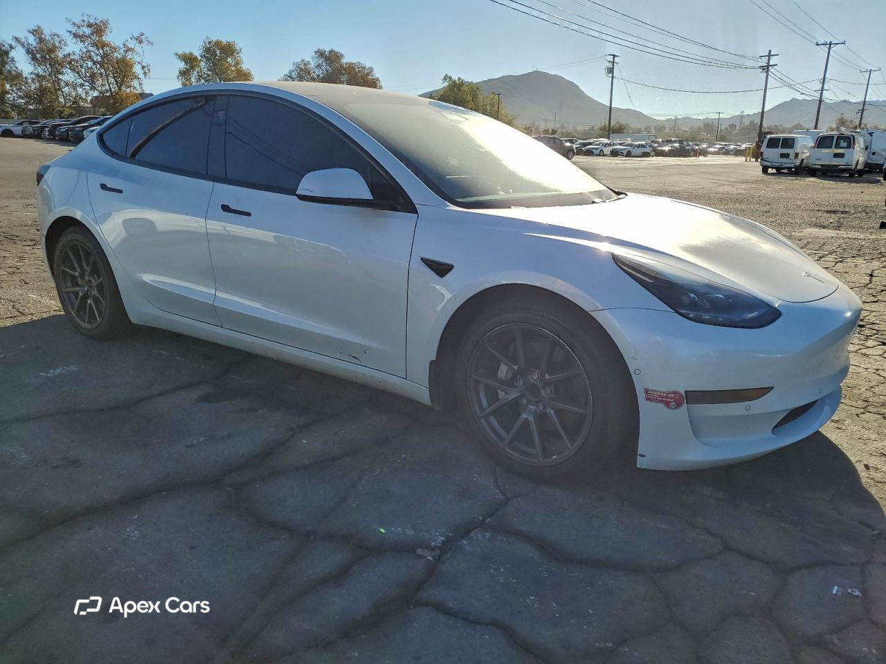 Tesla Model 3 2021