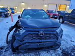 Toyota RAV 4 2025