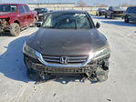 Honda Accord 2013