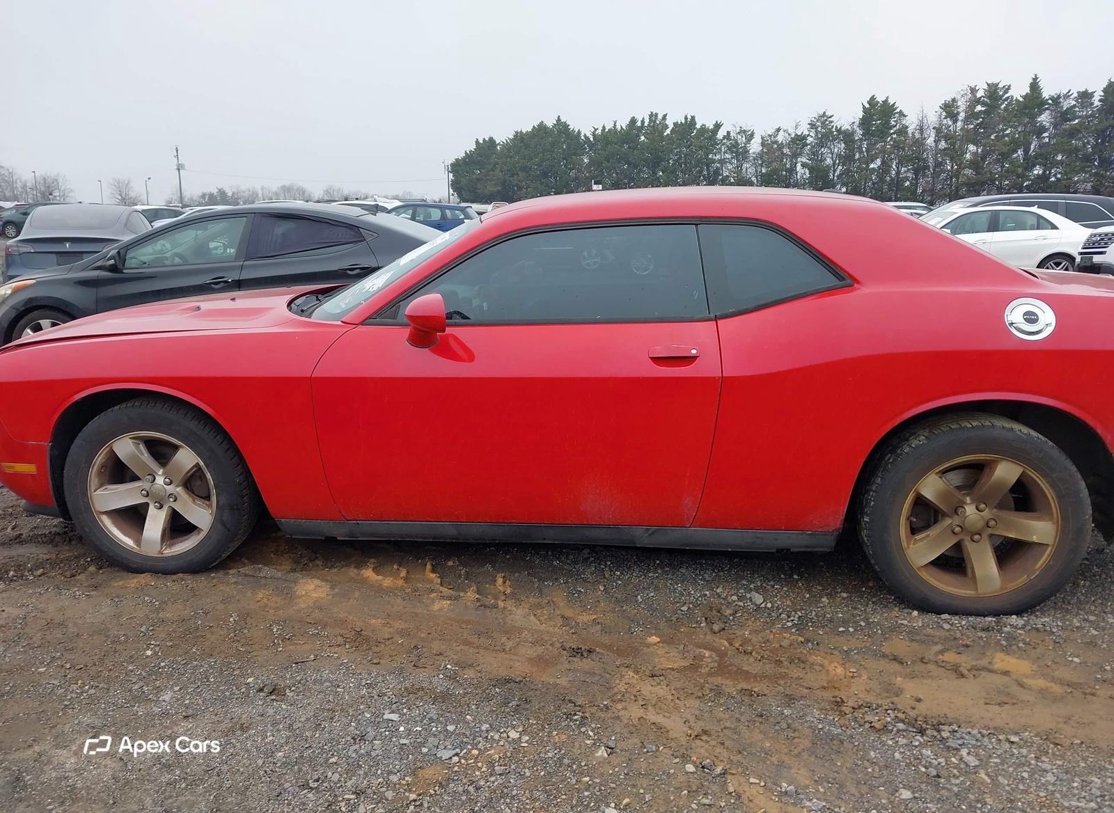 Dodge Challenger 2013