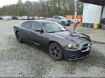 Dodge Charger 2014