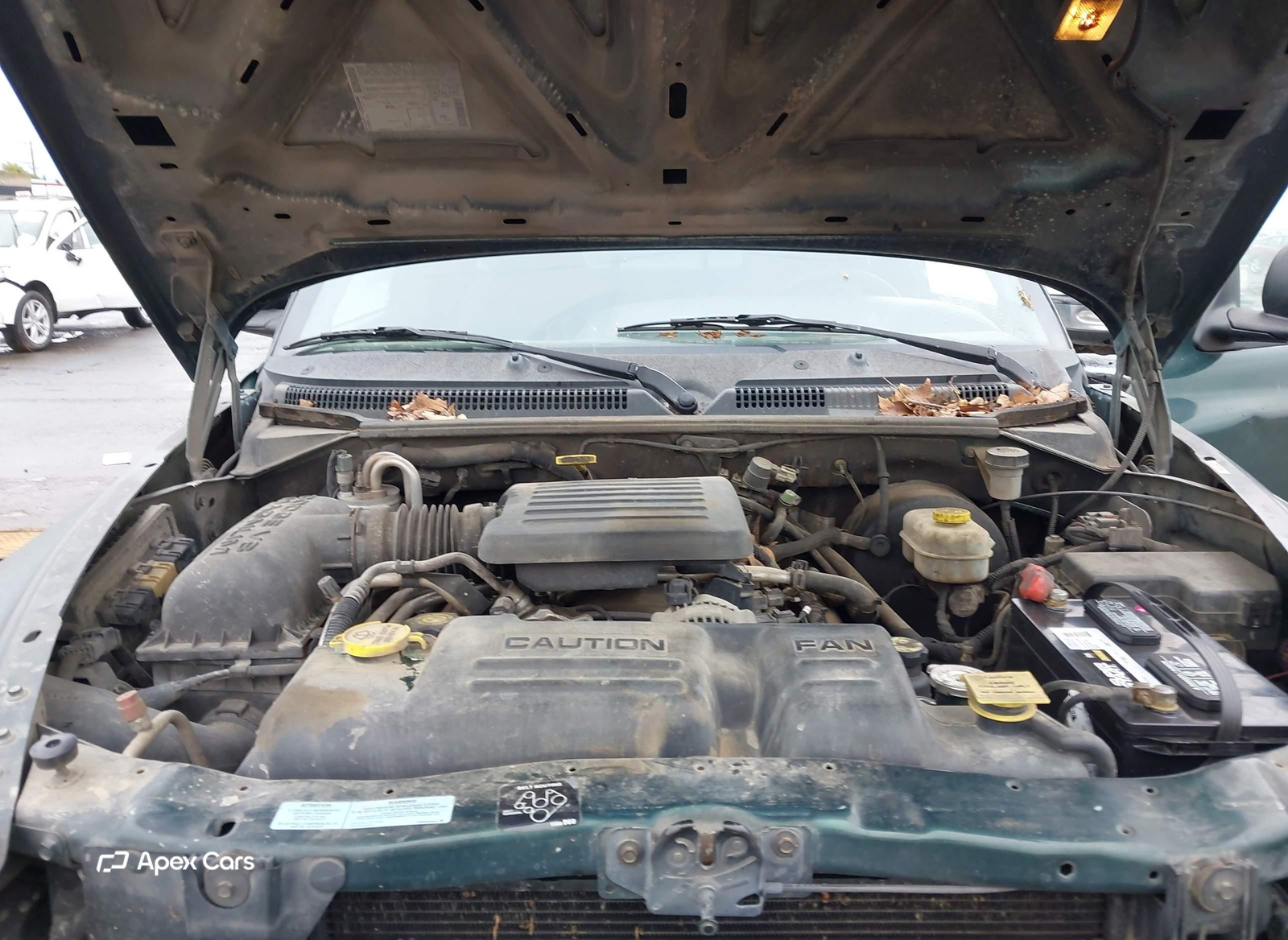 Dodge Dakota 2000