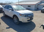 Ford Edge 2011
