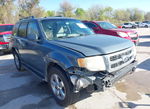 Ford Escape 2011