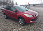 Ford Escape 2013