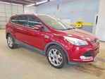 Ford Escape 2014